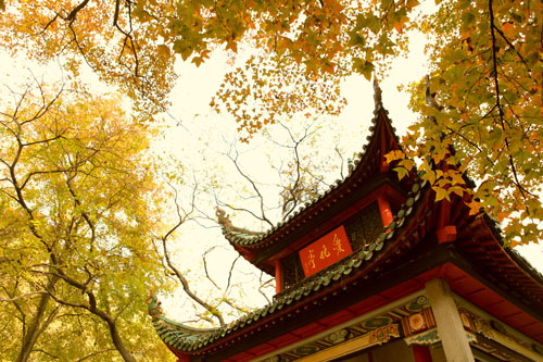 &#20061;&#28216;&#24179;&#21488;&#45;&#20061;&#28216;&#40;&#20013;&#22269;&#41;&#19968;&#31449;&#24335;&#26381;&#21153;&#24179;&#21488;