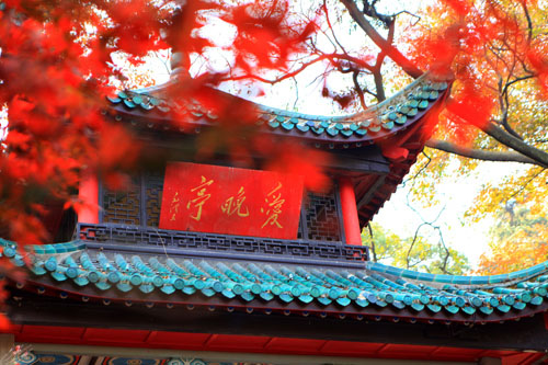 &#20061;&#28216;&#24179;&#21488;&#45;&#20061;&#28216;&#40;&#20013;&#22269;&#41;&#19968;&#31449;&#24335;&#26381;&#21153;&#24179;&#21488;